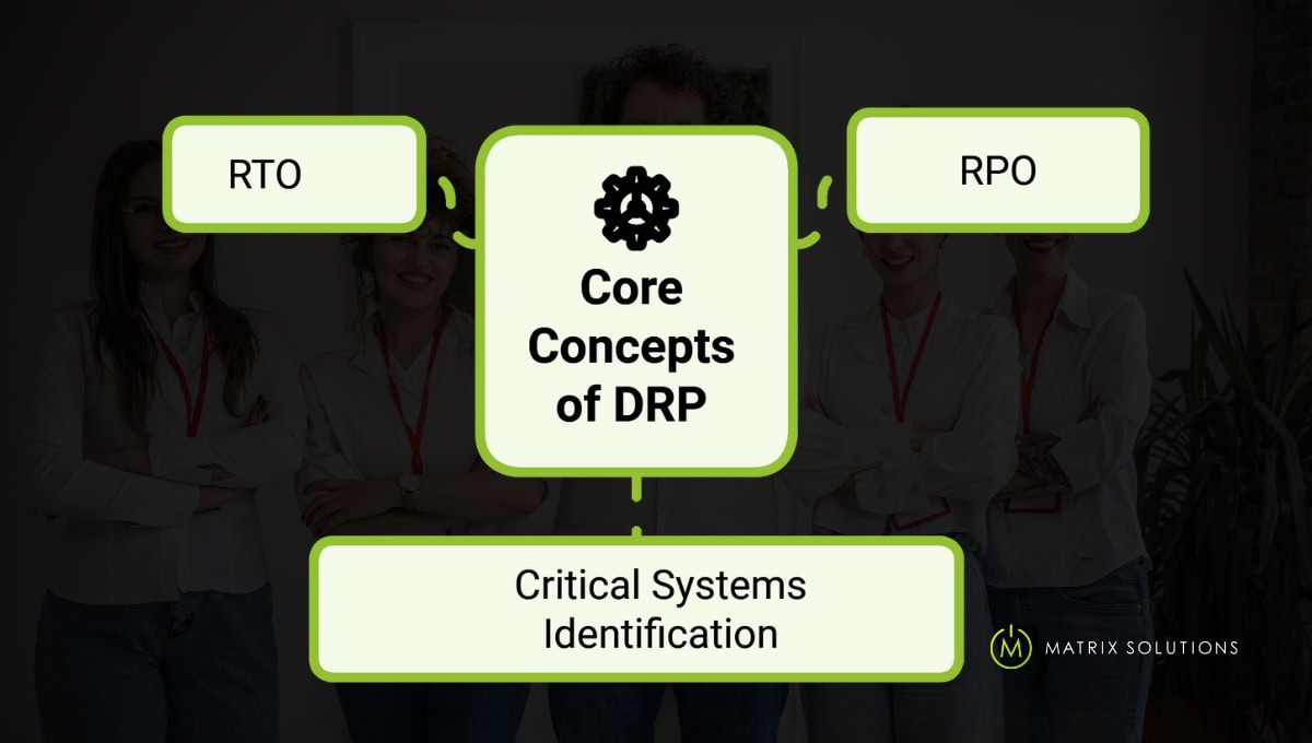 components of DRP