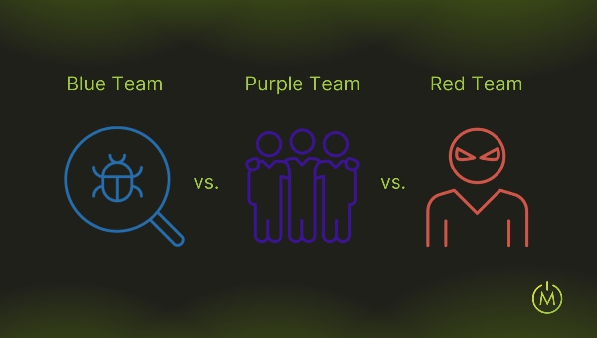 red team vs blue team vs purple team