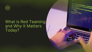 What is Red Teaming